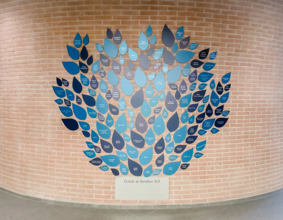 The IEO Donor Tree in Milan: a brick wall covered in blue leaves with donors’ names, above the sign “Grazie ai donatori IEO”