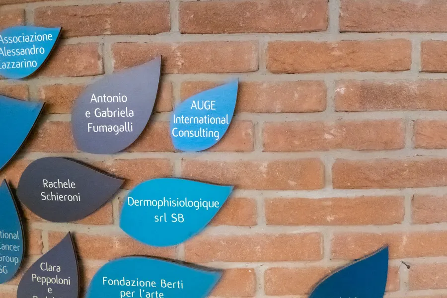 Close-up of the Donor Tree: the AUGE International Consulting leaf among other donors’ leaves